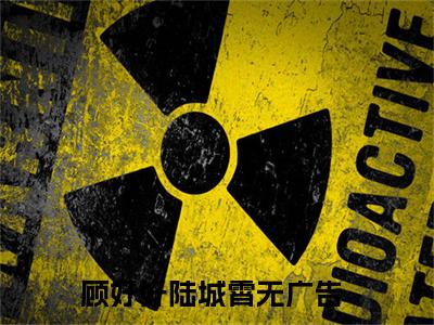 她这一生，难道注定孤独的不被宠爱（顾好好陆城霄）全集免费阅读无弹窗_她这一生，难道注定孤独的不被宠爱正版小说免费阅读