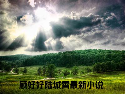 顾好好陆城霄在线阅读全文免费阅读无弹窗大结局_她这一生，难道注定孤独的不被宠爱最新章节列表_笔趣阁