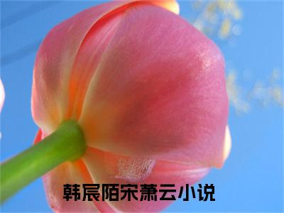 韩宸陌宋萧云(韩宸陌宋萧云)最新章节在线阅读-韩宸陌宋萧云已完结全集大结局小说