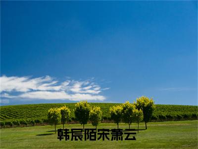 韩宸陌宋萧云小说-韩宸陌宋萧云全文免费阅读