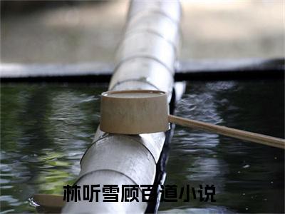 林听雪顾百道(林听雪顾百道)全文免费阅读无弹窗大结局_(林听雪顾百道小说全文大结局)最新章节列表_笔趣阁（林听雪顾百道）
