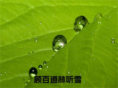 全网热搜（顾百道林听雪）是什么小说_主角是（顾百道林听雪）的小说（顾百道林听雪）最新章节无弹窗阅读
