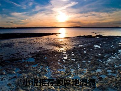顾席池微微甜宠小说哪里能看顾席池微微-顾席池微微小说阅读全集