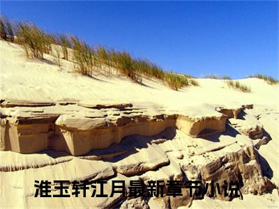 淮玉轩江月榜单小说全文免费阅读无弹窗大结局-淮玉轩江月全文在线阅读