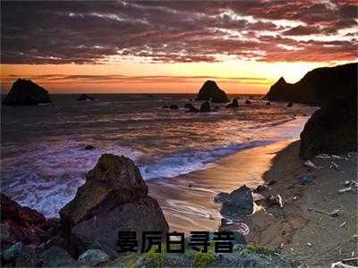 晏厉白寻音免费阅读-（晏厉白寻音）全文免费阅读无弹窗大结局（晏厉白寻音）最新章节列表_笔趣阁