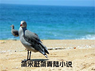 （简宋跹简青陆）全网热搜是什么小说_简宋跹简青陆小说（简宋跹简青陆）热门章节阅读无弹窗_笔趣阁（简宋跹简青陆）