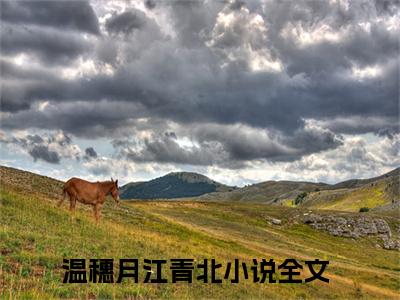 温穗月江青北小说最新试读_他处处为群众着想，唯独忘了她是（温穗月江青北免费阅读最新章节列表）_笔趣阁（他处处为群众着想，唯独忘了她）