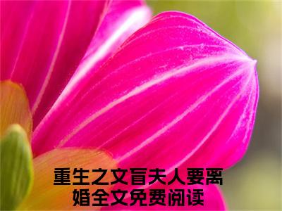 唐小满陈厉风（重生之文盲夫人要离婚）最新免费阅读-唐小满陈厉风小说在线阅读（后续+全集）