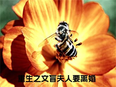 唐小满陈厉风小说（重生之文盲夫人要离婚）全文免费阅读无弹窗_唐小满陈厉风高赞小说免费阅读笔趣阁（重生之文盲夫人要离婚）