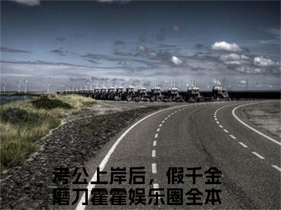 沈清陆野小说（考公上岸后，假千金磨刀霍霍娱乐圈）全文免费沈清陆野阅读无弹窗大结局-（考公上岸后，假千金磨刀霍霍娱乐圈）笔趣阁