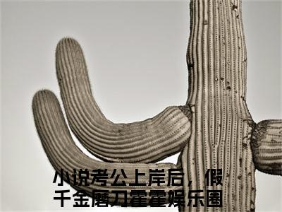 考公上岸后，假千金磨刀霍霍娱乐圈（沈清陆野）全文免费阅读无弹窗大结局_考公上岸后，假千金磨刀霍霍娱乐圈免费阅读无弹窗最新章节列表_笔趣阁（考公上岸后，假千金磨刀霍霍娱乐圈）