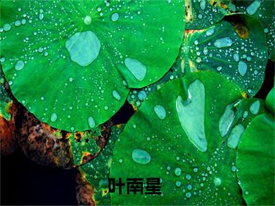 （我在七十年代当该溜子）叶南星全文免费阅读无弹窗大结局_我在七十年代当该溜子（叶南星）小说结局免费阅读