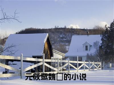 元筱鸾魏玦（元筱鸾魏玦）小说全文免费阅读无弹窗大结局_元筱鸾魏玦全文在线阅读无弹窗（元筱鸾魏玦）
