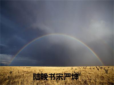 陆晚书宋严坤（陆晚书宋严坤）小说免费下载全本-陆晚书宋严坤（陆晚书宋严坤完整版）免费阅读大结局
