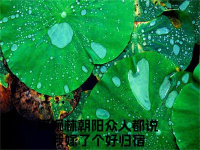 众人都说我嫁了个好归宿小说在线阅读（周婉林朝阳）全文免费阅读无弹窗大结局