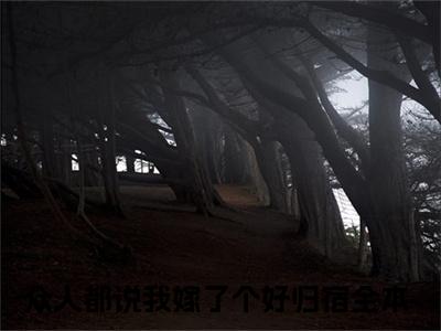 周婉林朝阳（众人都说我嫁了个好归宿）全文免费阅读无弹窗_众人都说我嫁了个好归宿最新小说_笔趣阁