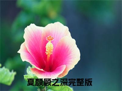 夏颜顾之深全文免费阅读无弹窗大结局-夏颜顾之深小说在哪里可以看
