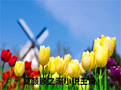 夏颜顾之深txt（夏颜顾之深）全文免费阅读无弹窗大结局_夏颜顾之深最新章节列表_笔趣阁（夏颜顾之深）