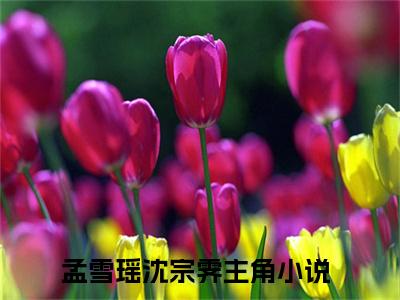 小说孟雪瑶沈宗霁在线阅读-正版小说《孟雪瑶沈宗霁》孟雪瑶沈宗霁全文阅读