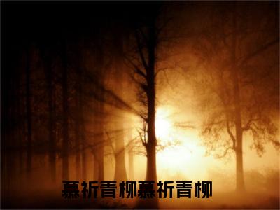 慕祈青柳小说全文免费阅读最新章节_慕祈青柳（慕祈青柳）免费观看完结版_笔趣阁（慕祈青柳）