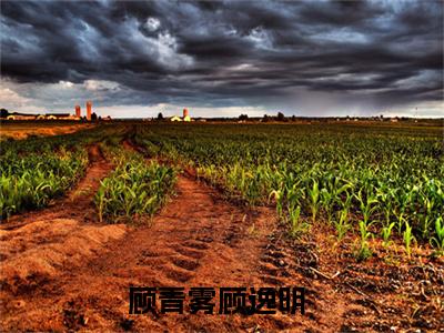 顾青雾顾逸明小说讲的是什么-顾青雾顾逸明精彩章节目录观看