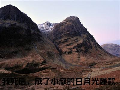 季茵芷傅君尧《我死后，成了小叔的白月光小说免费阅读》完整-季茵芷傅君尧小说（我死后，成了小叔的白月光）全文最新阅读