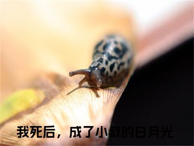 季茵芷傅君尧（我死后，成了小叔的白月光）全文免费阅读无弹窗大结局_季茵芷傅君尧小说全文免费阅读最新章节列表（我死后，成了小叔的白月光）