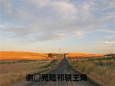 谢晞宛陆祁骁免费小说（谢晞宛陆祁骁）全文免费阅读_谢晞宛陆祁骁免费小说谢晞宛陆祁骁小说最新章节列表笔趣阁
