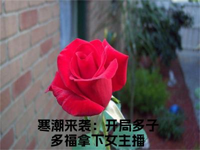 寒潮来袭：开局多子多福拿下女主播小说（高兰肖宇已完结小说全集完整版大结局）高兰肖宇小说全文阅读笔趣阁