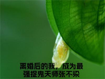 张不染（离婚后的我，成为最强捉鬼天师）全文免费阅读无弹窗大结局_张不染最新章节列表-笔趣阁离婚后的我，成为最强捉鬼天师