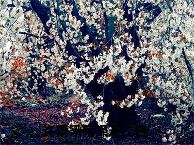 许粟梁陌泽小说（许粟梁陌泽）全文完整版免费阅读-许粟梁陌泽全文完整版免费阅读（许粟梁陌泽）