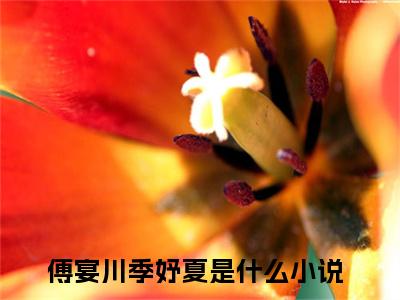 傅宴川季妤夏（傅宴川季妤夏）正版小说最新章节在线阅读_（傅宴川季妤夏全文免费阅读无弹窗）