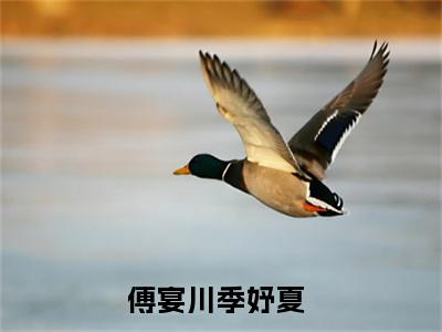 小说《傅宴川季妤夏》全文免费阅读无弹窗-傅宴川季妤夏小说全文在线赏析