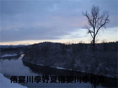 小说（傅宴川季妤夏）_傅宴川季妤夏全文阅读_傅宴川季妤夏免费阅读大结局（免费+后续）