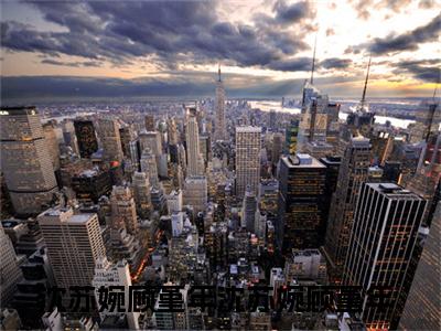 沈苏婉顾堇年（沈苏婉顾堇年）小说在线阅读_沈苏婉顾堇年全本免费小说阅读大结局（沈苏婉顾堇年）
