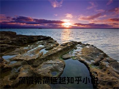 简浣希简延越（简浣希简延越）全文免费阅读无弹窗大结局_（简浣希简延越）简浣希简延越最新章节列表