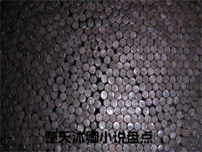 开局：小魔女送我个圣女媳妇儿（楚天沐卿）小说免费阅读_开局：小魔女送我个圣女媳妇儿精选小说全文阅读（楚天沐卿）