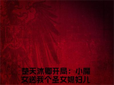 楚天沐卿小说（开局：小魔女送我个圣女媳妇儿）全文免费阅读-楚天沐卿全文阅读无弹窗