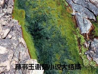 《林书玉谢楚》主角是他是我最美好最痛苦的回忆全文免费阅读已完结