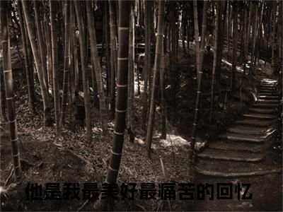 林书玉谢楚（他是我最美好最痛苦的回忆）小说全文免费阅读无弹窗大结局_林书玉谢楚最新章节列表