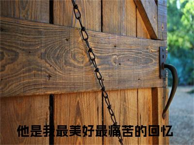 小说林书玉谢楚无弹窗免费阅读-新上热文小说（他是我最美好最痛苦的回忆）讲的是什么