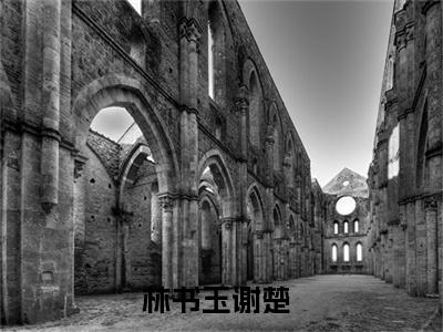 林书玉谢楚（他是我最美好最痛苦的回忆）免费全文阅读小说_林书玉谢楚最新章节列表-笔趣阁（他是我最美好最痛苦的回忆）