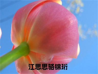 江思思骆锦珩小说完整版阅读-小说江思思骆锦珩全文免费阅读