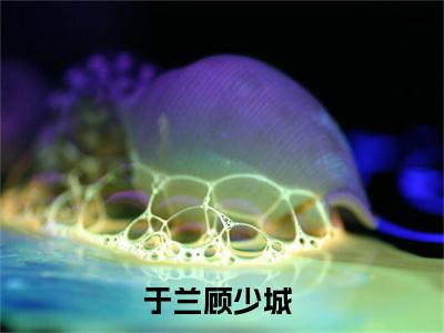 于兰顾少城全文免费阅读无弹窗大结局_于兰顾少城最新章节列表笔趣阁