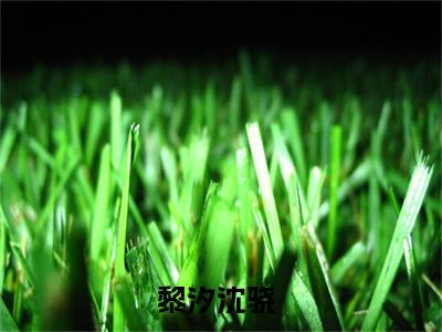 满分小说（黎汐沈骁）全文免费阅读 黎汐沈骁言情小说讲的是什么