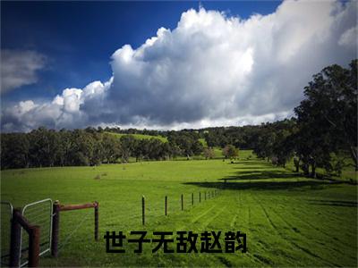 世子无敌赵韵免费阅读大结局无弹窗-小说推荐世子无敌赵韵精彩章节在线阅读