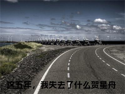 这五年，我失去了什么贺星舟（这五年，我失去了什么贺星舟小说）全文免费阅读无弹窗大结局_这五年，我失去了什么贺星舟全文免费阅读（这五年，我失去了什么贺星舟小说）最新章节列表_笔趣阁（这五年，我失去了什么贺星舟）