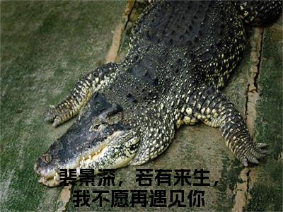 裴景深陈晚枝（裴景深，若有来生，我不愿再遇见你）全文免费完结版阅读_（裴景深，若有来生，我不愿再遇见你）裴景深陈晚枝最新章节列表笔趣阁