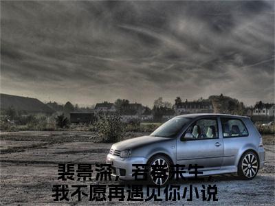 裴景深，若有来生，我不愿再遇见你免费阅读-（裴景深，若有来生，我不愿再遇见你）全文免费阅读无弹窗大结局（裴景深陈晚枝）最新章节列表_笔趣阁