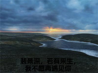 裴景深，若有来生，我不愿再遇见你在哪免费看裴景深，若有来生，我不愿再遇见你结局是什么（裴景深陈晚枝）小说无弹窗免费阅读